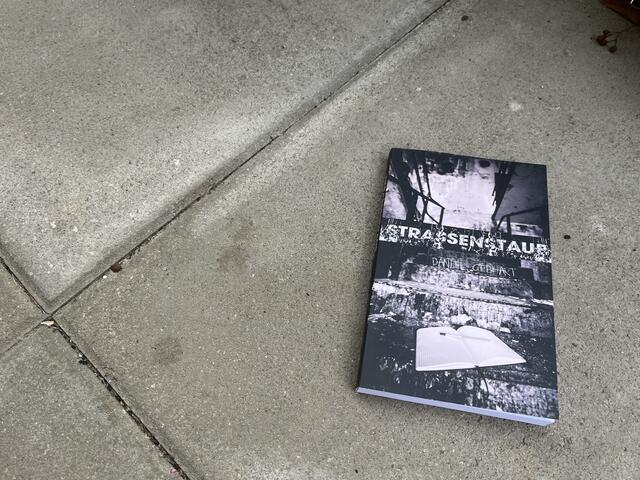 Das Buch „Strassenstaub“ ist eine Biographie. Es handelt von Daniels Leben. Eine helfende Autorin aus Berlin, die er während der Corona-Pandemie über ein Online-Forum kennenlernte, hatte die Idee, es in Tagebuchform zu verfassen.  | Foto: Katharina Schmitt