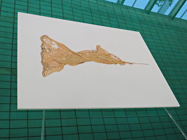 Kartoffelnetzsack wurde zum Schwertfisch "umfunktioniert" von Stephan Horch | Foto: Brigitte Melder