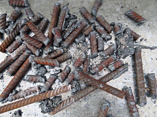 Sehen aus wie Zigarettenkippen :-) | Foto: Brigitte Melder