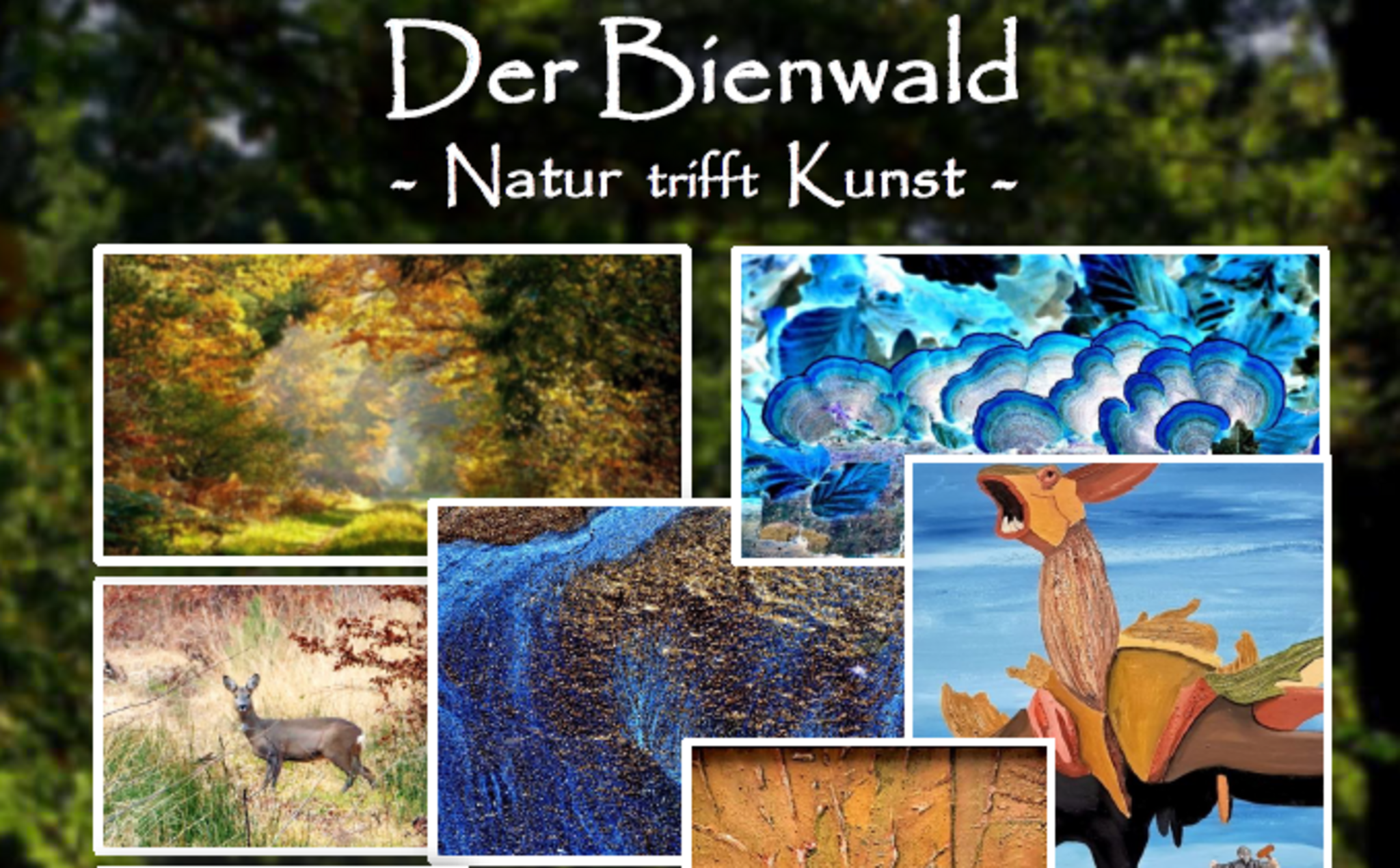 Ausstellung In Kandel Natur Und Kunst Kandel ausstellung-in-kandel-natur-und-kunst-kandel