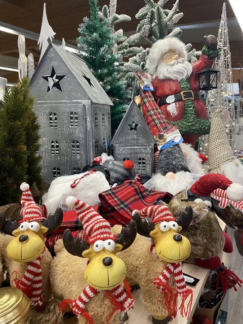 Foto: Claudia Bardon