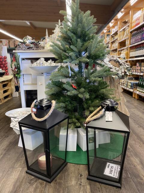 Foto: Claudia Bardon