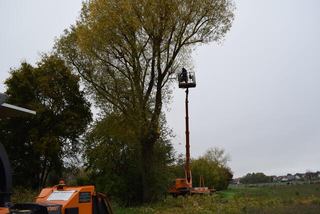 Wenn das Klettern zu gefährlich beziehungsweise unmöglich ist, wird mit einer Hubarbeitsbühne gearbeitet.  | Foto: B. Bender