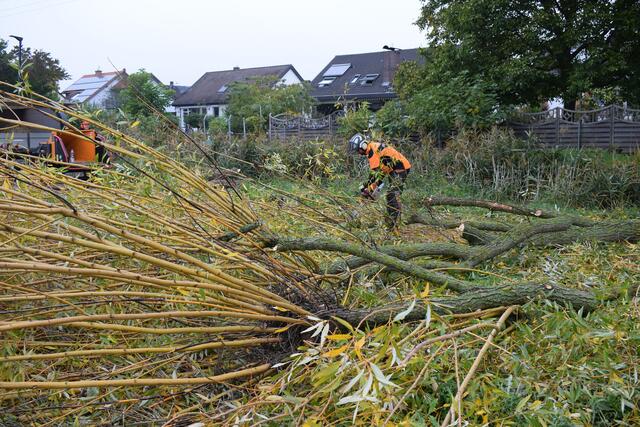 Das Schnittgut wird vor Ort zerlegt | Foto: B. Bender