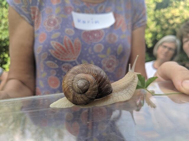 Die Seniorinnen und Senioren schaffen gemeinsam mit den Kindern kleine Biotope für die heimische Natur | Foto: NABU