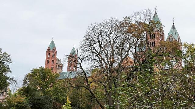 Foto: Speyer Leinpfad parkrun 