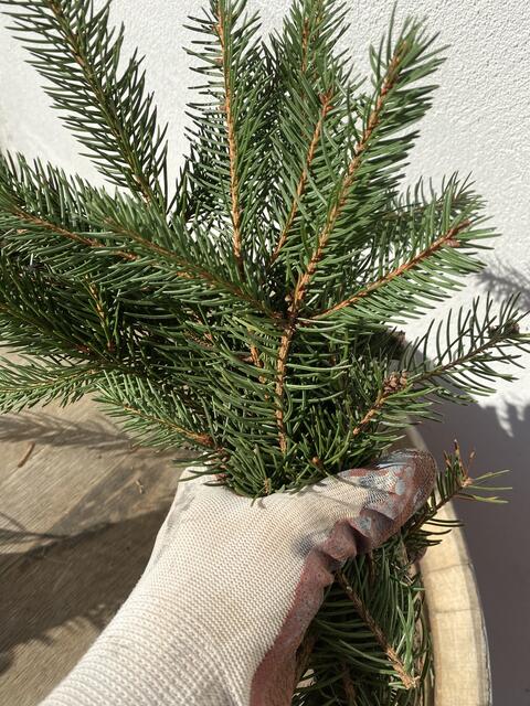 Foto: Claudia Bardon