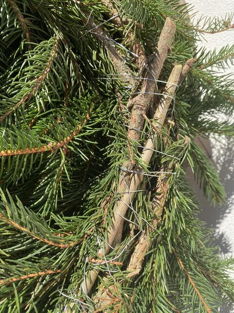 Foto: Claudia Bardon