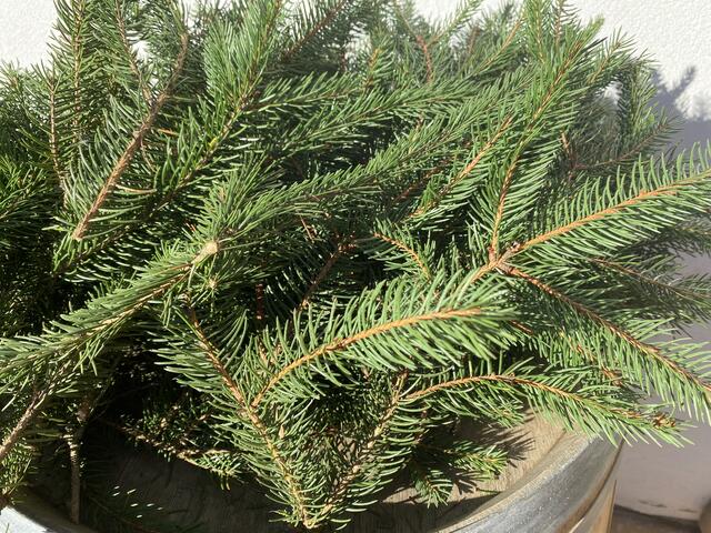 Foto: Claudia Bardon