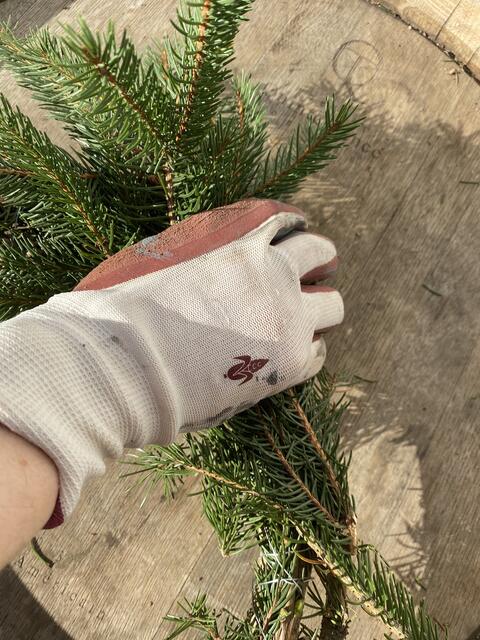 Foto: Claudia Bardon