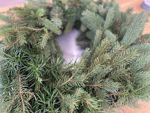 Foto: Claudia Bardon