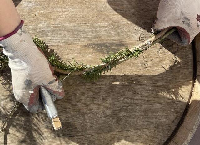 Foto: Claudia Bardon