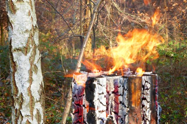 Bald ist wieder Weihnachtswaldbasar in Dudenhofen | Foto: privat