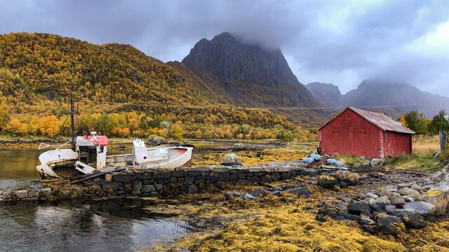 Foto: Johann-Peter Melder