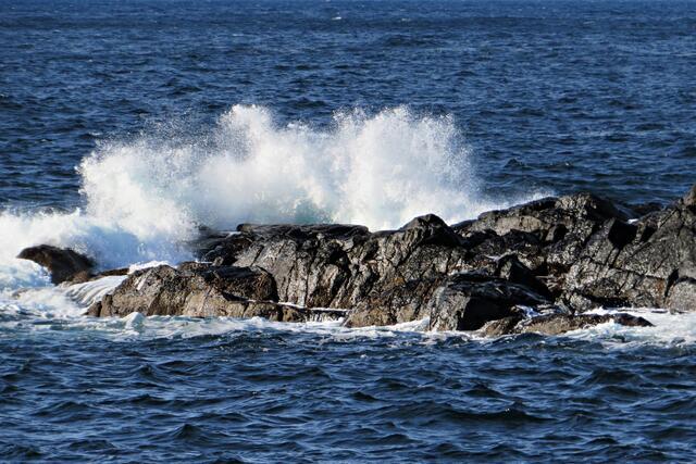 Foto: Brigitte Melder