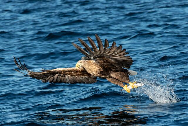 Foto: Johann-Peter Melder