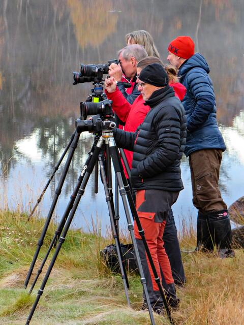 Foto: Brigitte Melder