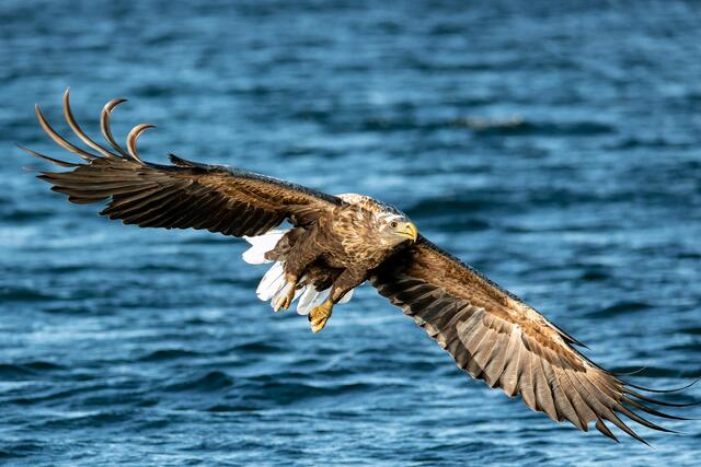 Foto: Johann-Peter Melder