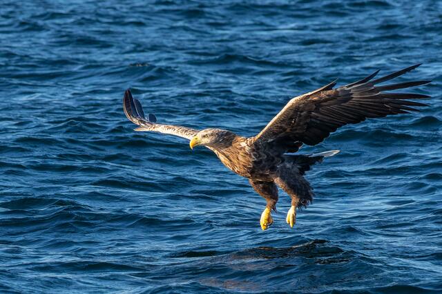 Foto: Johann-Peter Melder