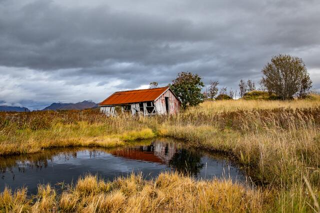 Foto: Johann-Peter Melder