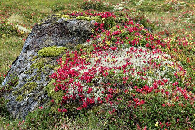 Foto: Brigitte Melder