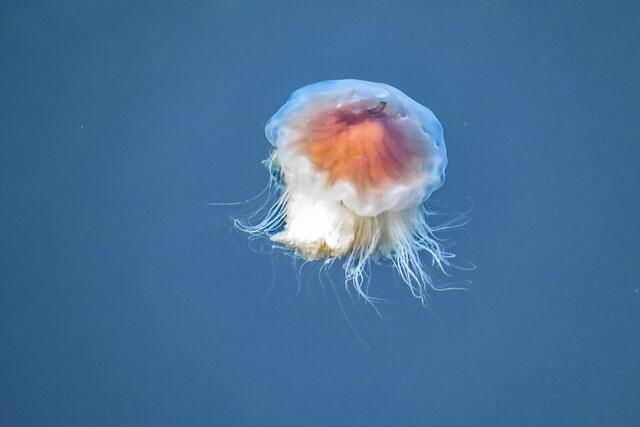 Foto: Brigitte Melder