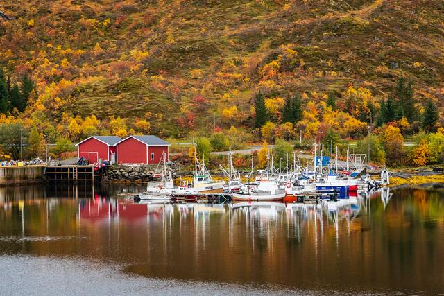 Foto: Johann-Peter Melder