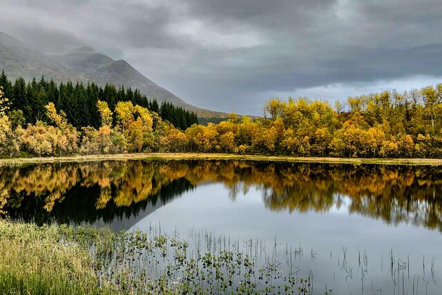 Foto: Johann-Peter Melder