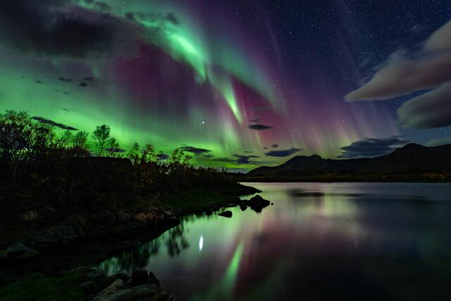 Foto: Johann-Peter Melder