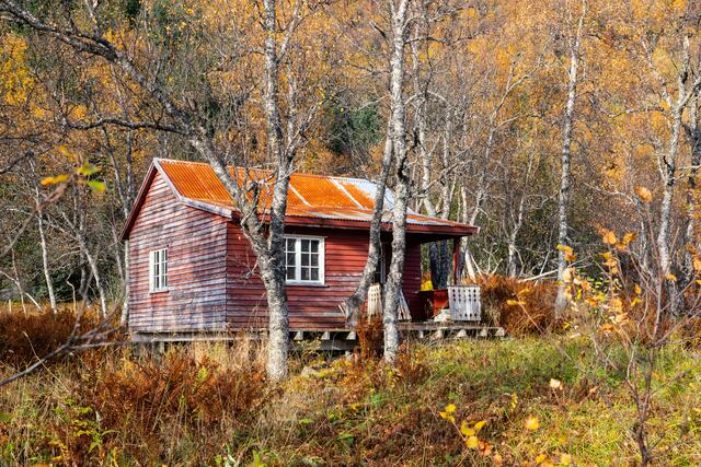 Foto: Johann-Peter Melder