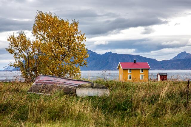 Foto: Johann-Peter Melder