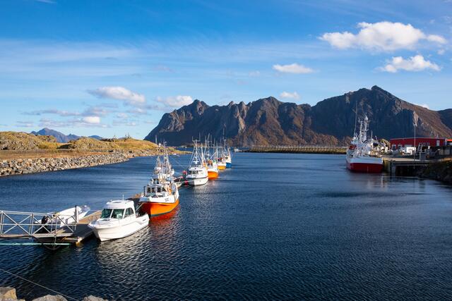 Foto: Johann-Peter Melder