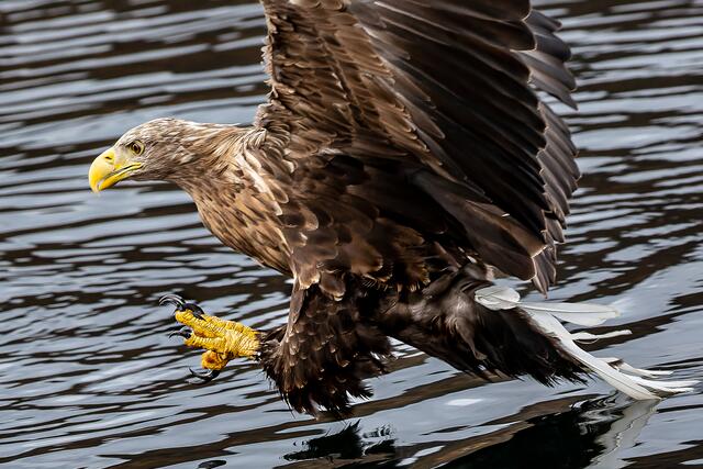 Foto: Johann-Peter Melder