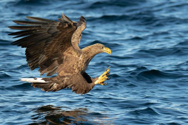 Foto: Johann-Peter Melder
