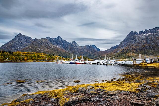 Foto: Brigitte Melder