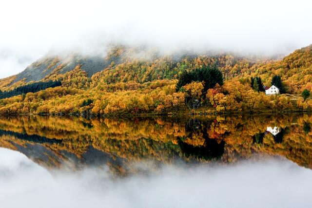 Foto: Brigitte Melder