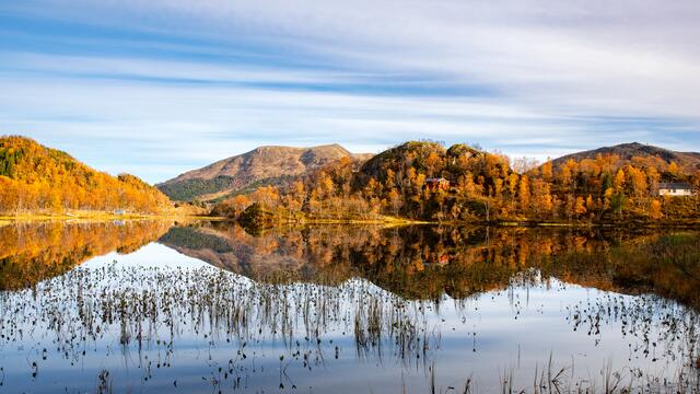 Foto: Johann-Peter Melder