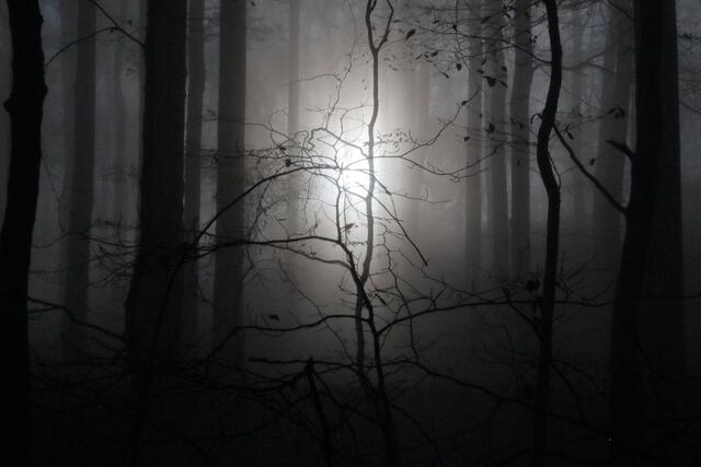 Lichtspiele (2) | Foto: Franz-Walter Mappes