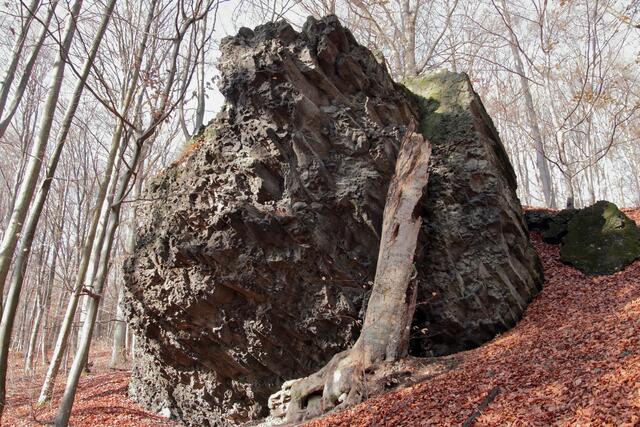Der Zahn der Zeit | Foto: Franz-Walter Mappes