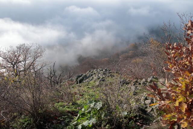 Auf dem Rückweg vom Hirzstein Richtung Kleines Herbsthaus | Foto: Franz-Walter Mappes