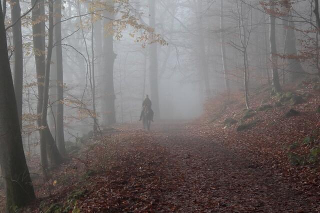 Mystisch: Und plötzlich erscheint da ein Reiter im Nebel | Foto: Franz-Walter Mappes