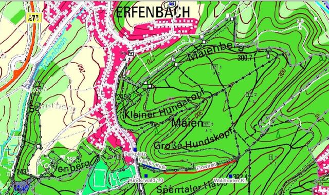 Lageplan des "Flowtrail TuS Erfenbach" | Foto: Landesforsten RLP