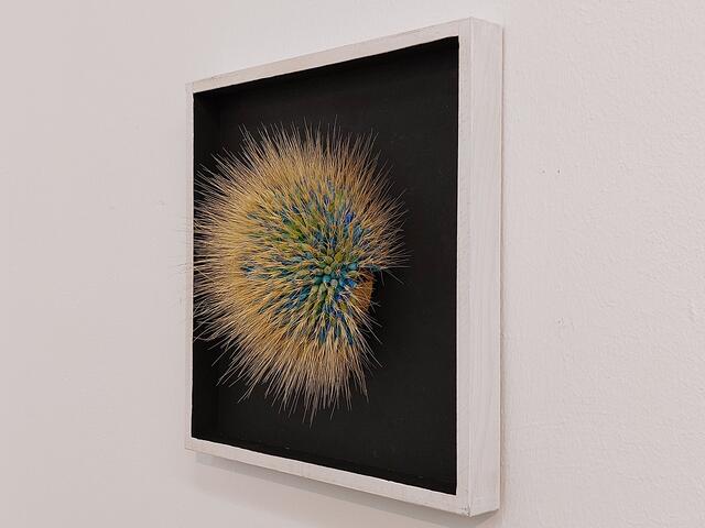 Petra Jung: Kokosnussschale | Foto: Brigitte Melder