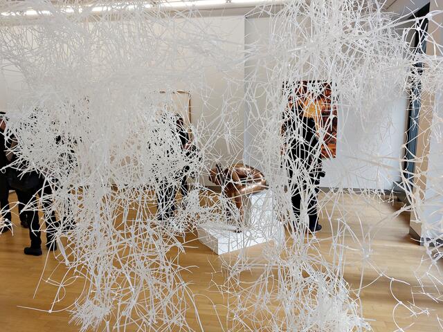 Kunst aus Kabelbindern | Foto: Brigitte Melder