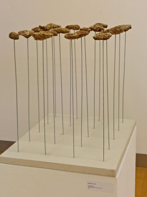 Edelgard Lösch: Flachbauten | Foto: Brigitte Melder