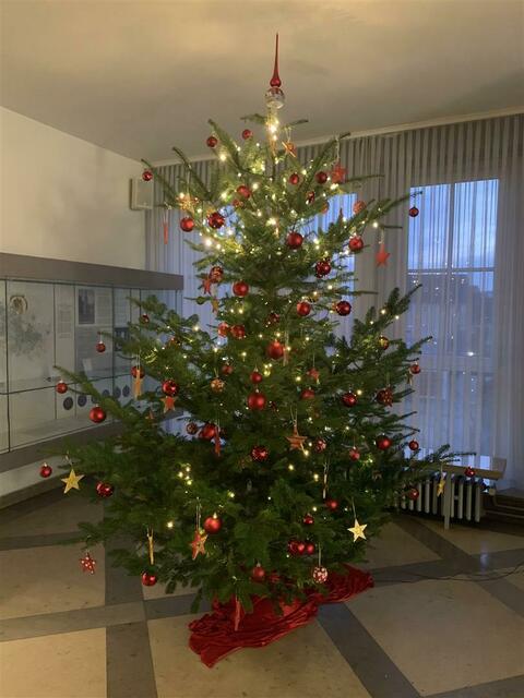 Der Weihnachtsbaum im Rathaus | Foto: Pressestelle FT