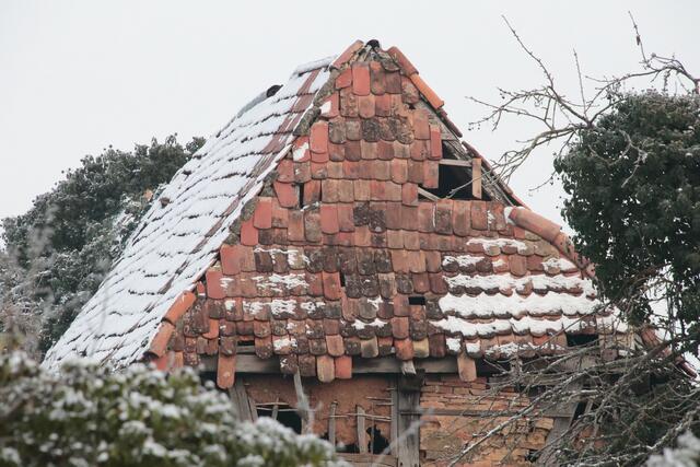 Der Zahn der Zeit | Foto: Franz-Walter Mappes