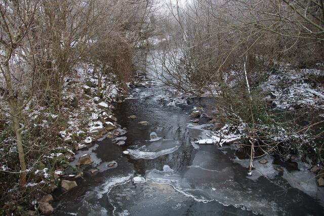 Fast wäre der Klingbach zugefroren | Foto: Franz-Walter Mappes
