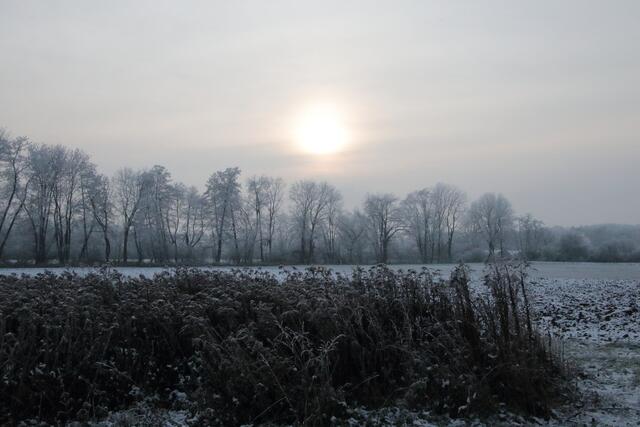 Winterlandschaft | Foto: Franz-Walter Mappes