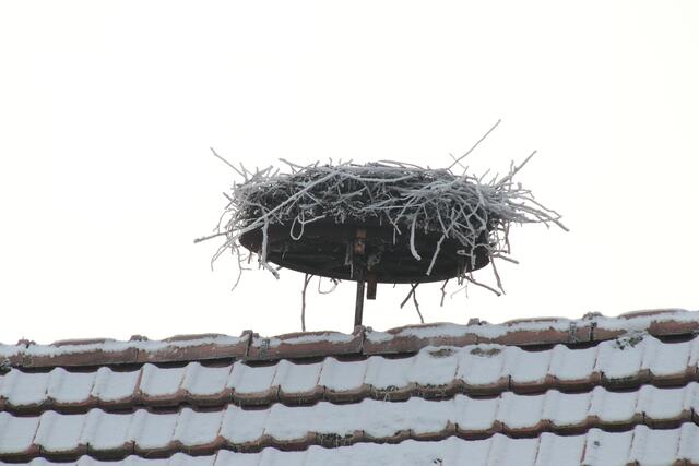 Im Winter verwaist: Sommerquartier der Störche | Foto: Franz-Walter Mappes